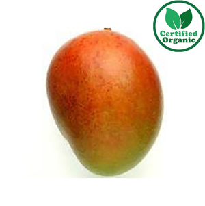 Organic Mango Kiett TR [ 14 each per Tray ]