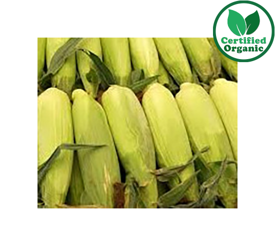 Organic CORN Sweet  [ 28 - 30 each per Box ]