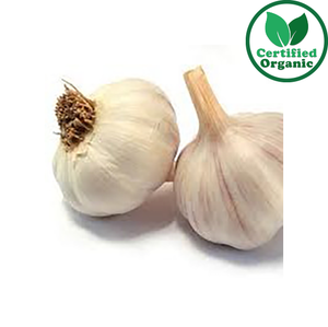 Organic Garlic Russian Bulbs 1kg